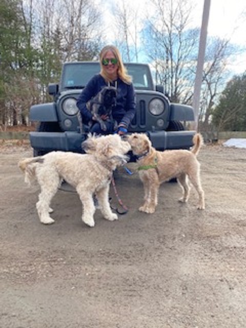 Robin's Pet Squad's Photo