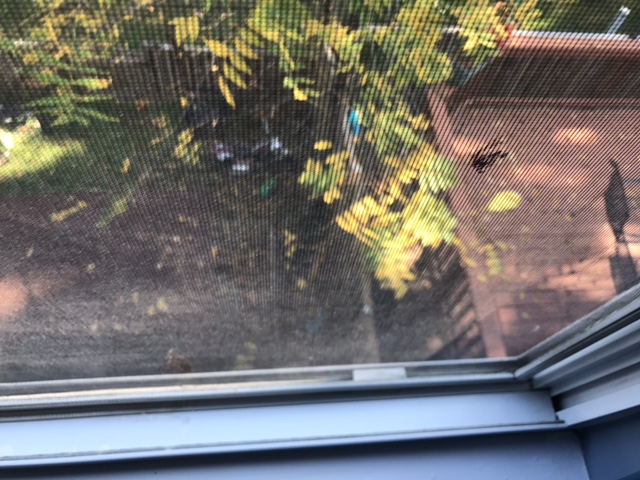 Briscoe Contractors's Photo