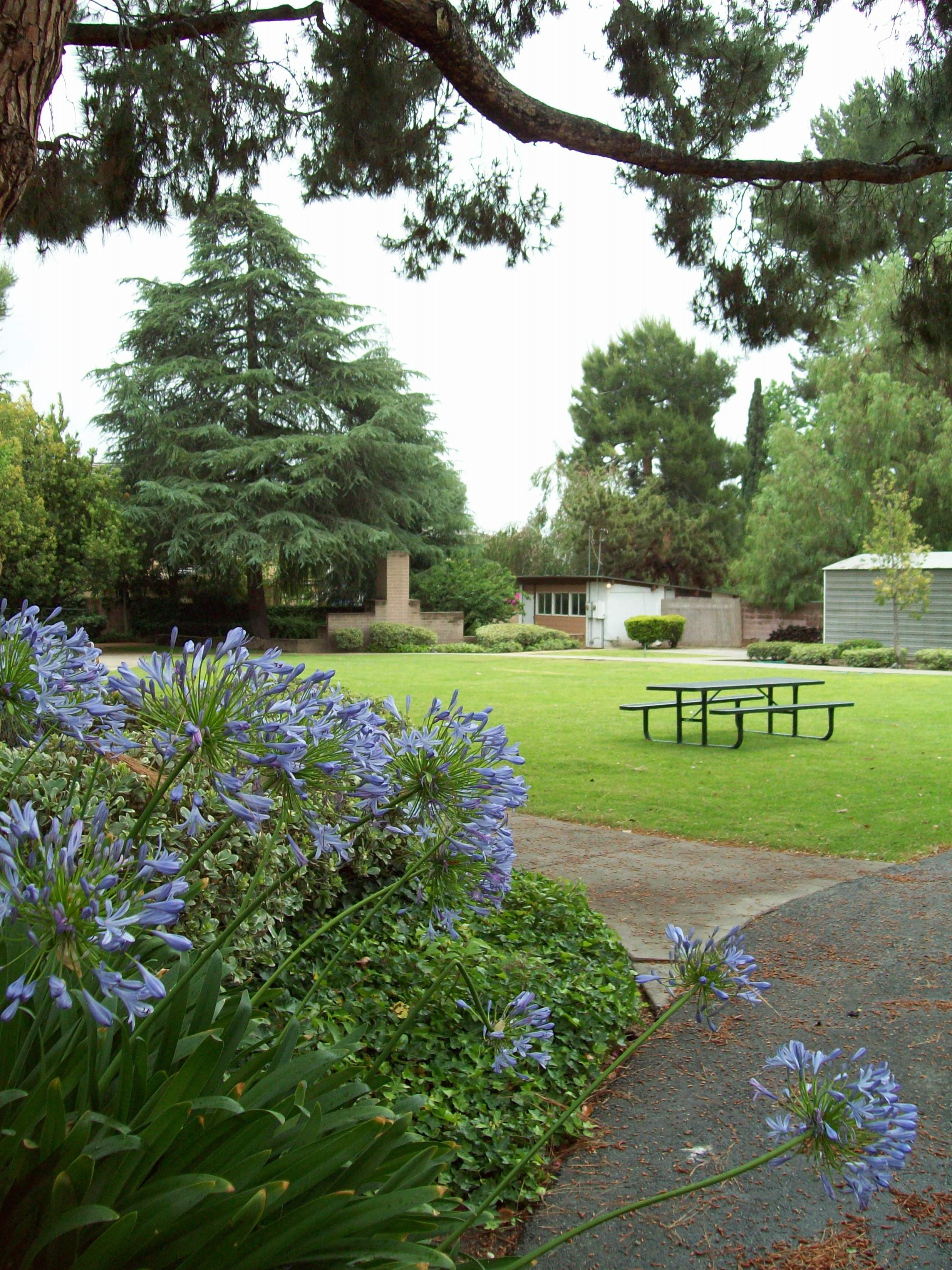 Pacific Friends School's Photo