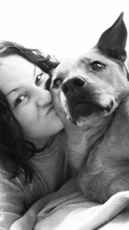 Puppy & Company's Photo
