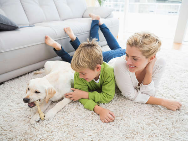 Thorough Green Cleaning's Photo