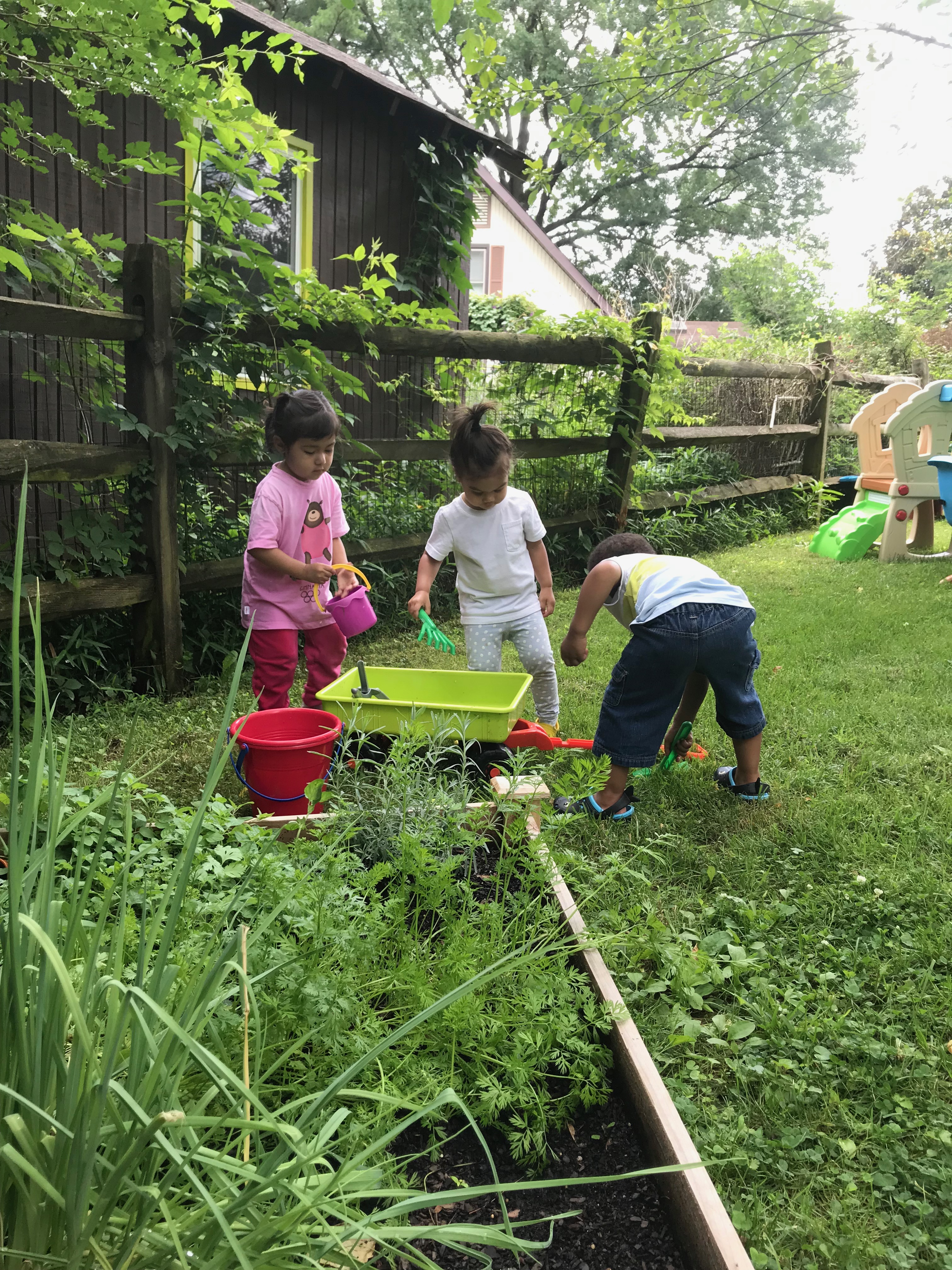 Over The Rainbow's Photo