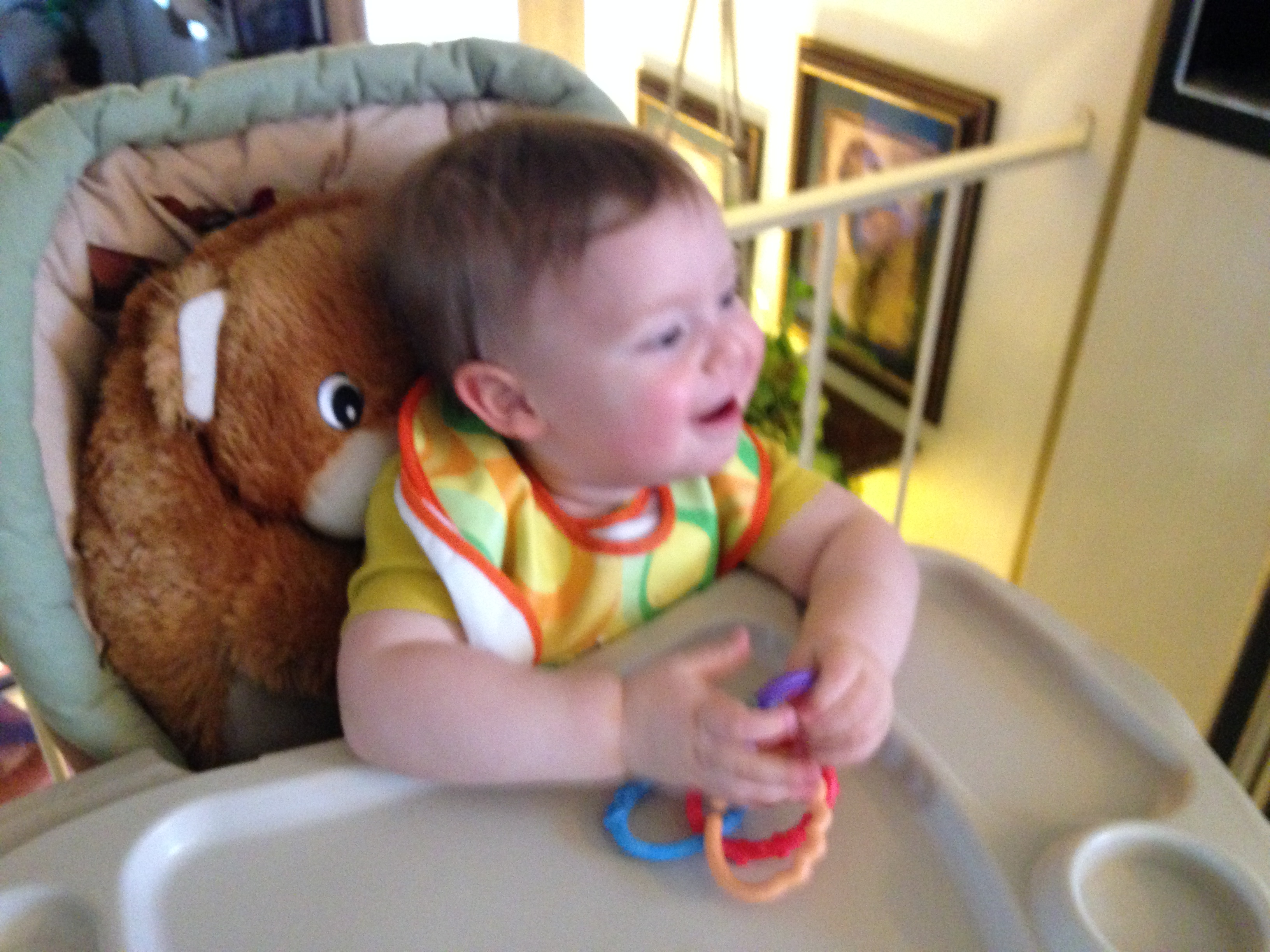 Dee's Munchkins's Photo