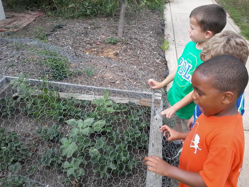 Bluebell Early Learning Academy's Photo