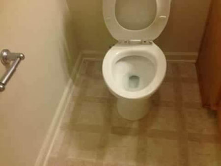 A Notch Above Cleaning Service's Photo