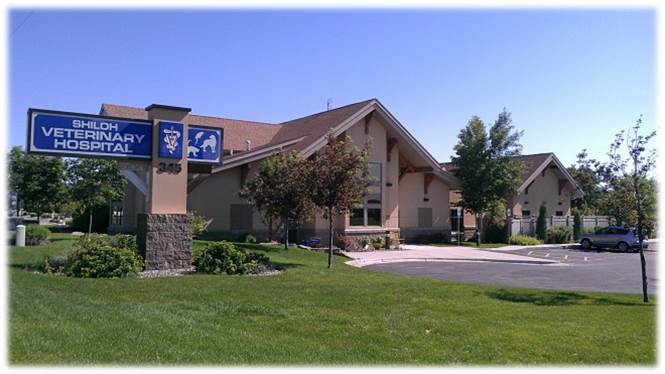 Shiloh Veterinary Hospital's Photo