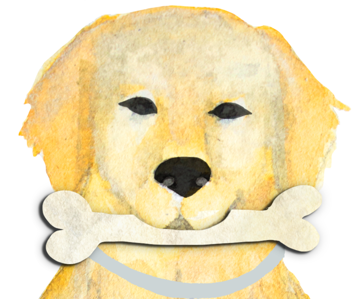 Dog With A Bone Tutoring Logo