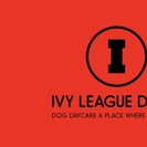 Ivy League Dogs