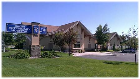 Shiloh Veterinary Hospital