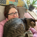 Cat Nanny Jess, LLC