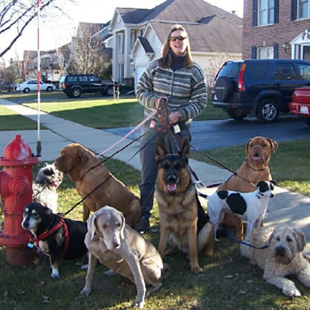 Dependable Petsitter's Photo