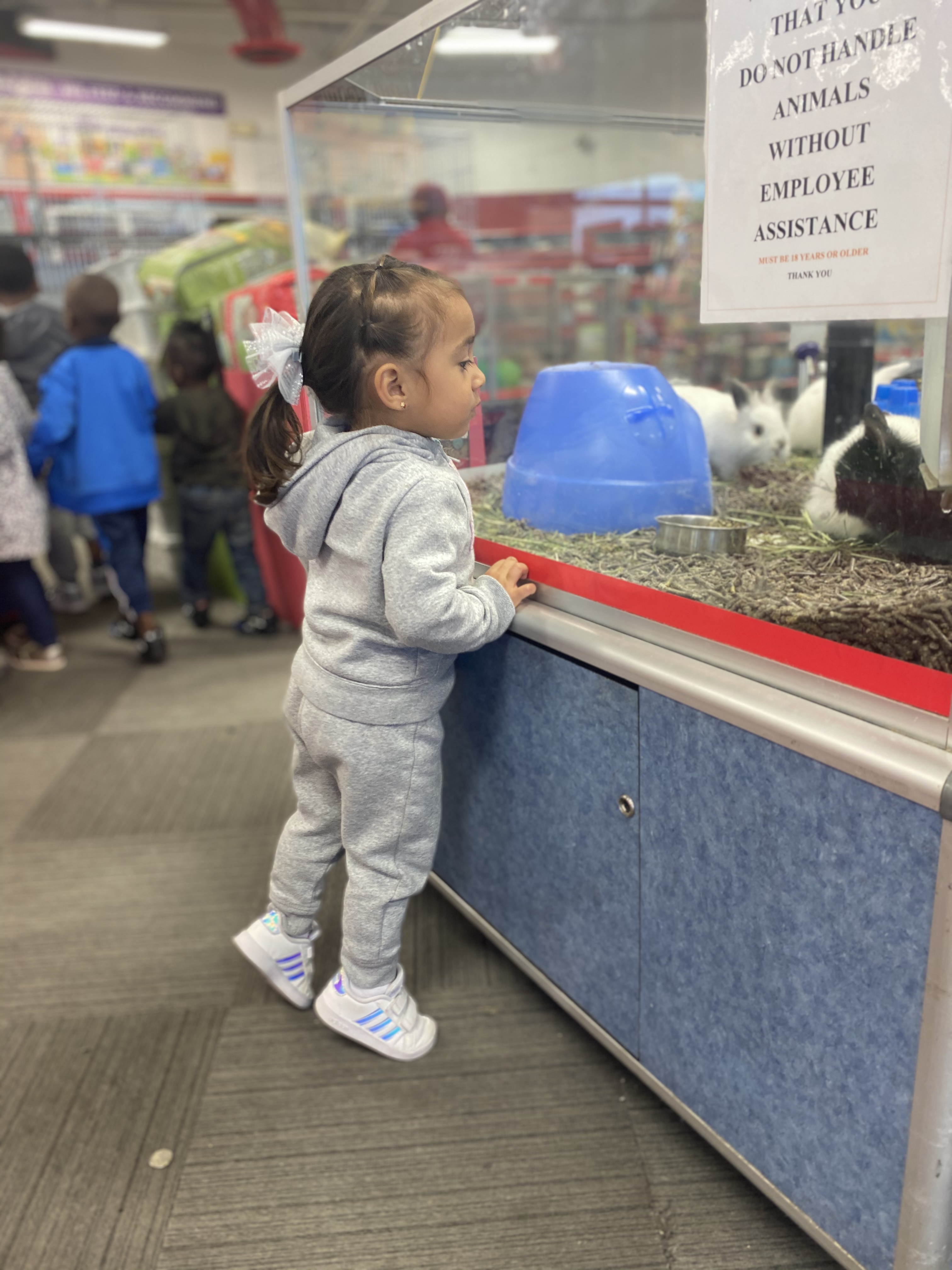 Preparation of Life Child Care's Photo