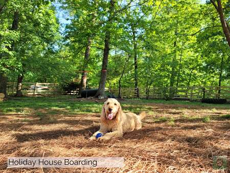 Holiday House Boarding