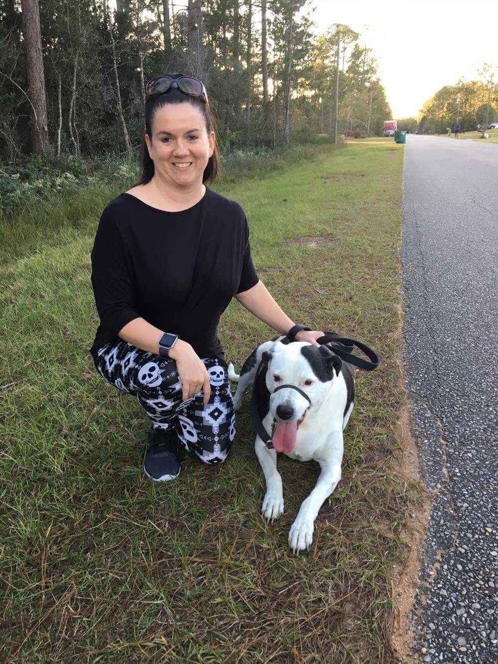 Paww Prints Furever's Photo