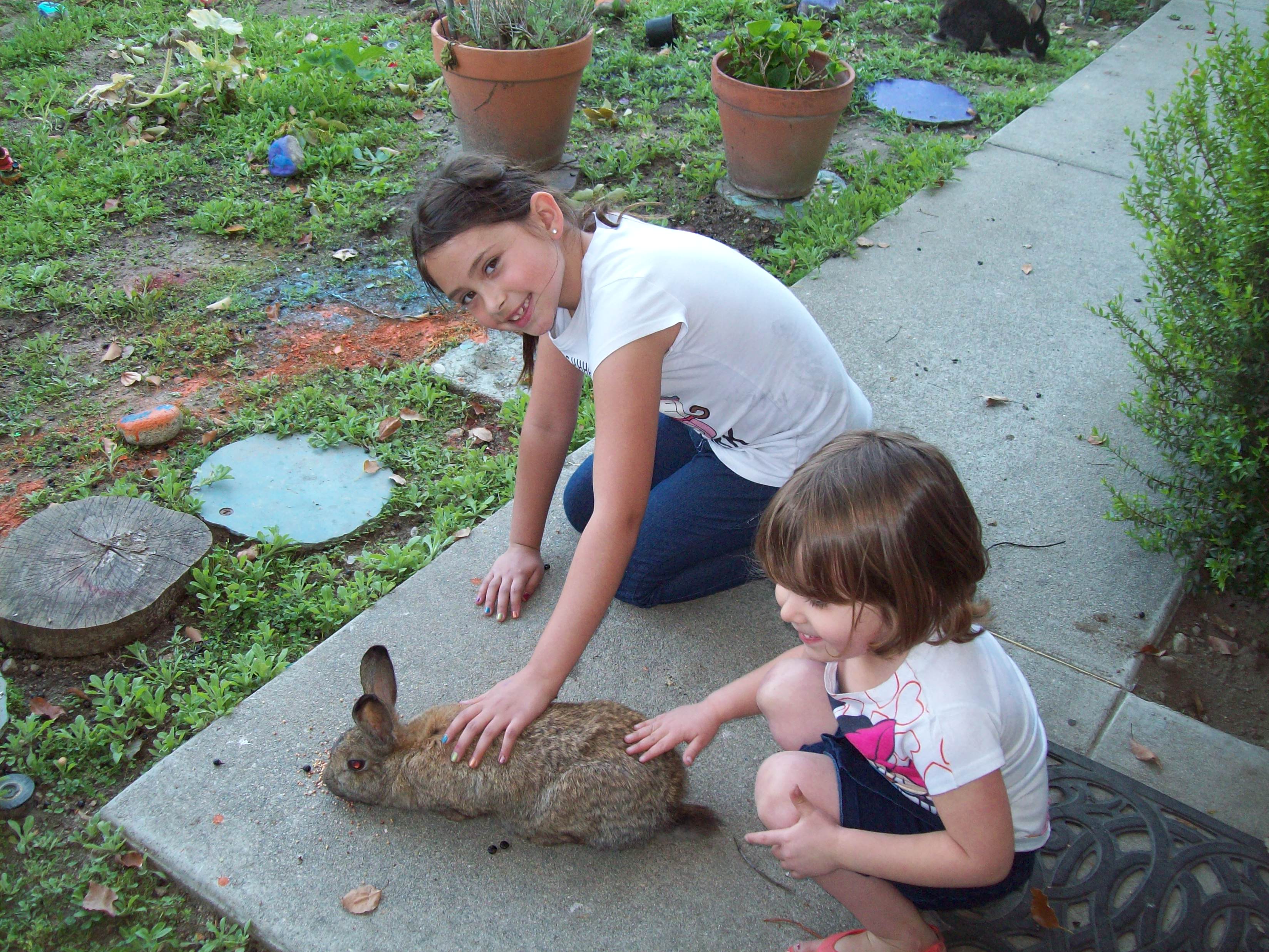 Pacific Friends School's Photo