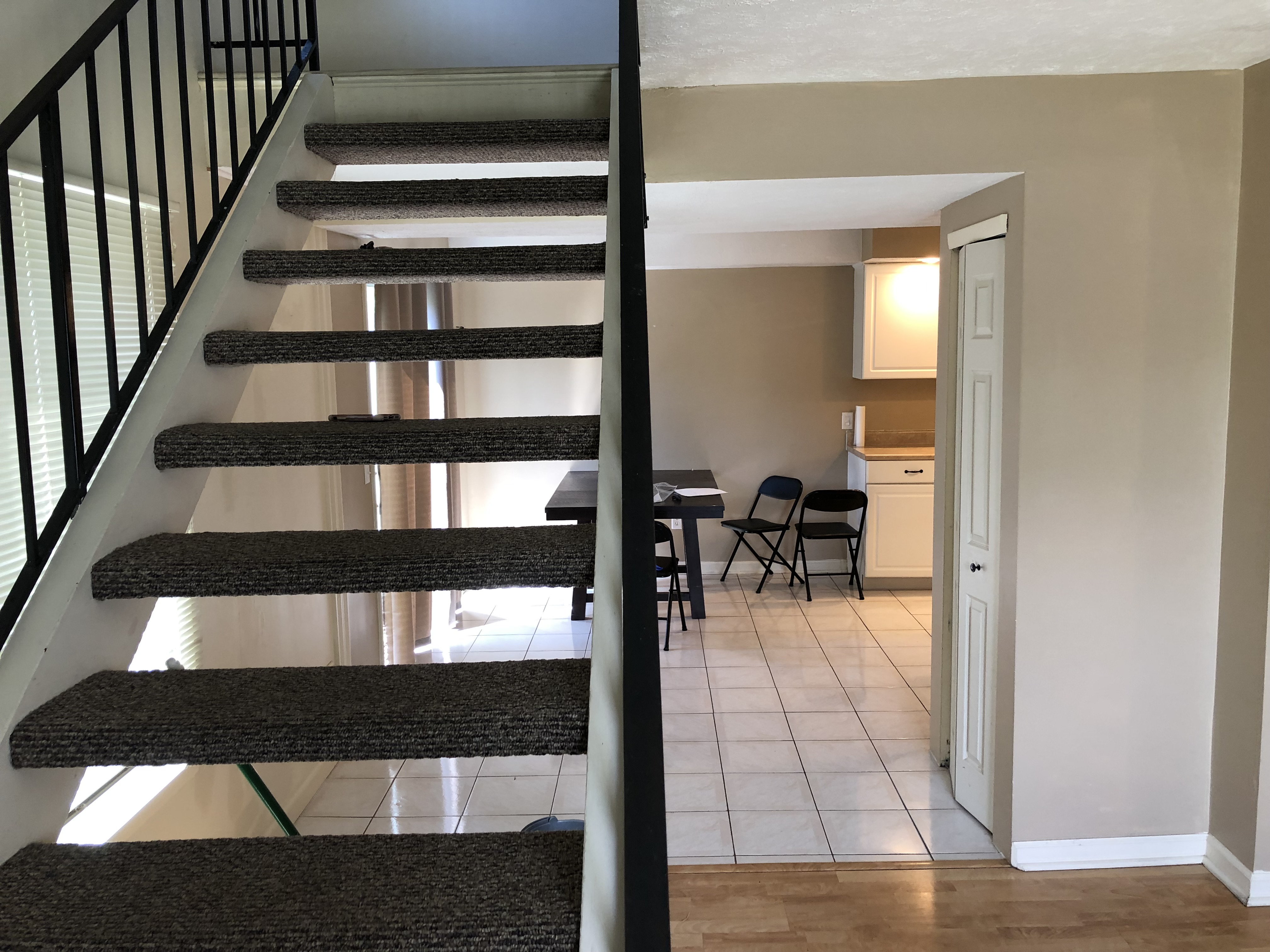 The Lion Clean's Photo