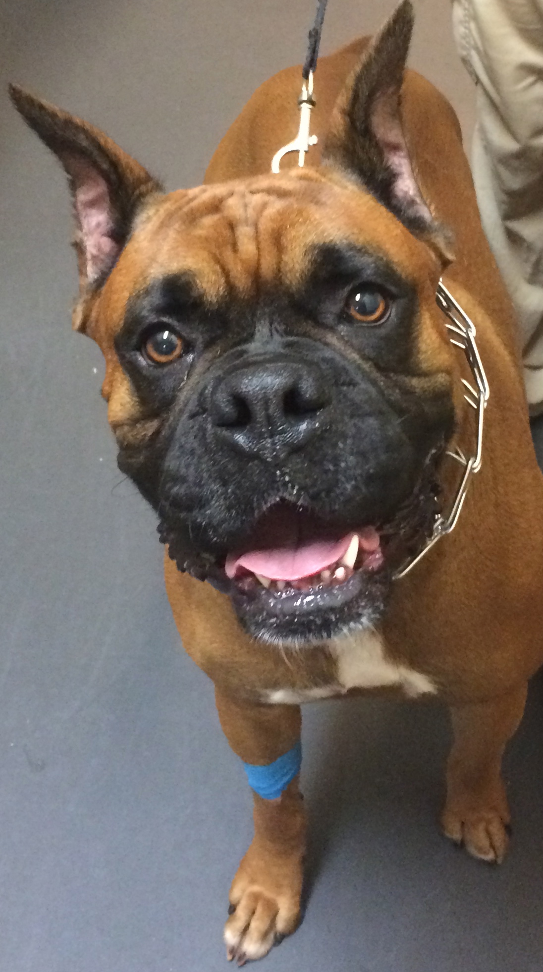 Millcreek Animal Hospital's Photo