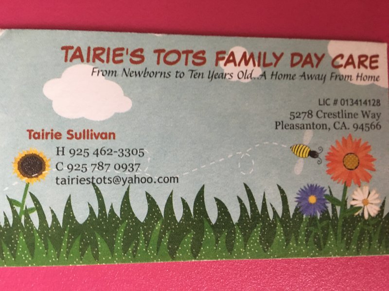 Tairies Tots Family Day Care Logo