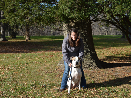 Angels Above Pet Sitting LLC's Photo