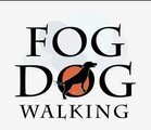 Fog Dog Walking