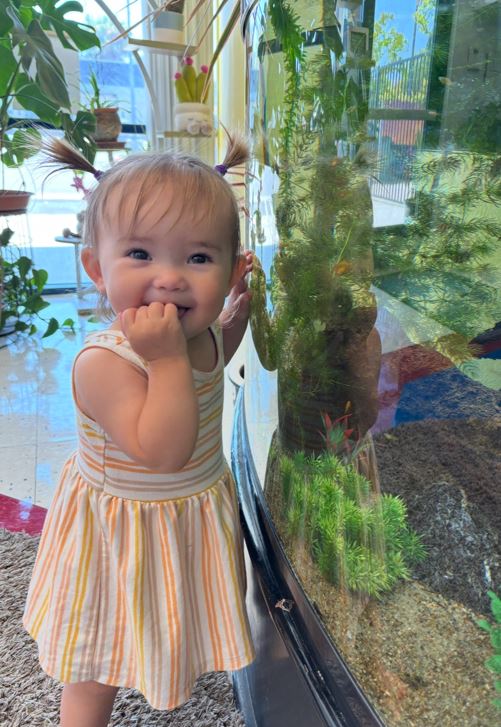 Montessori School of Oceanside's Photo