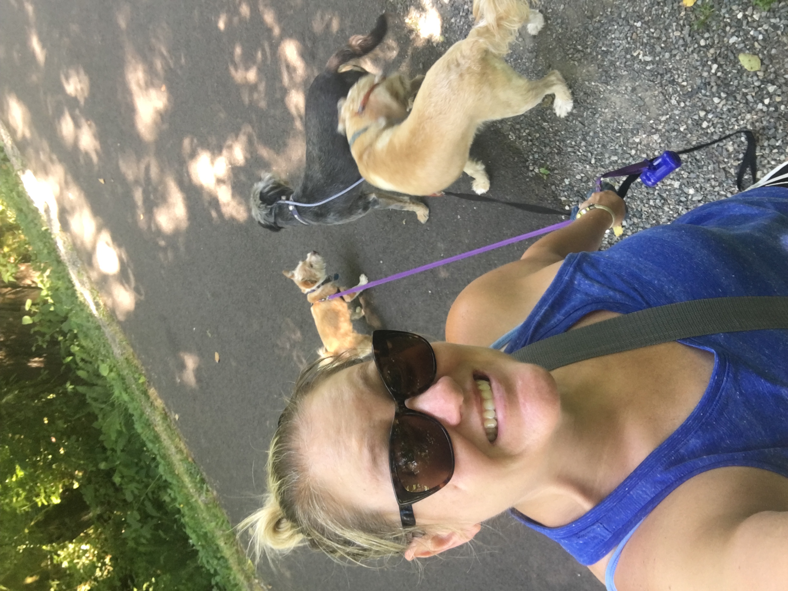 Doggieville Daycare's Photo