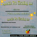 Sparkle Pro Cleaners LLC