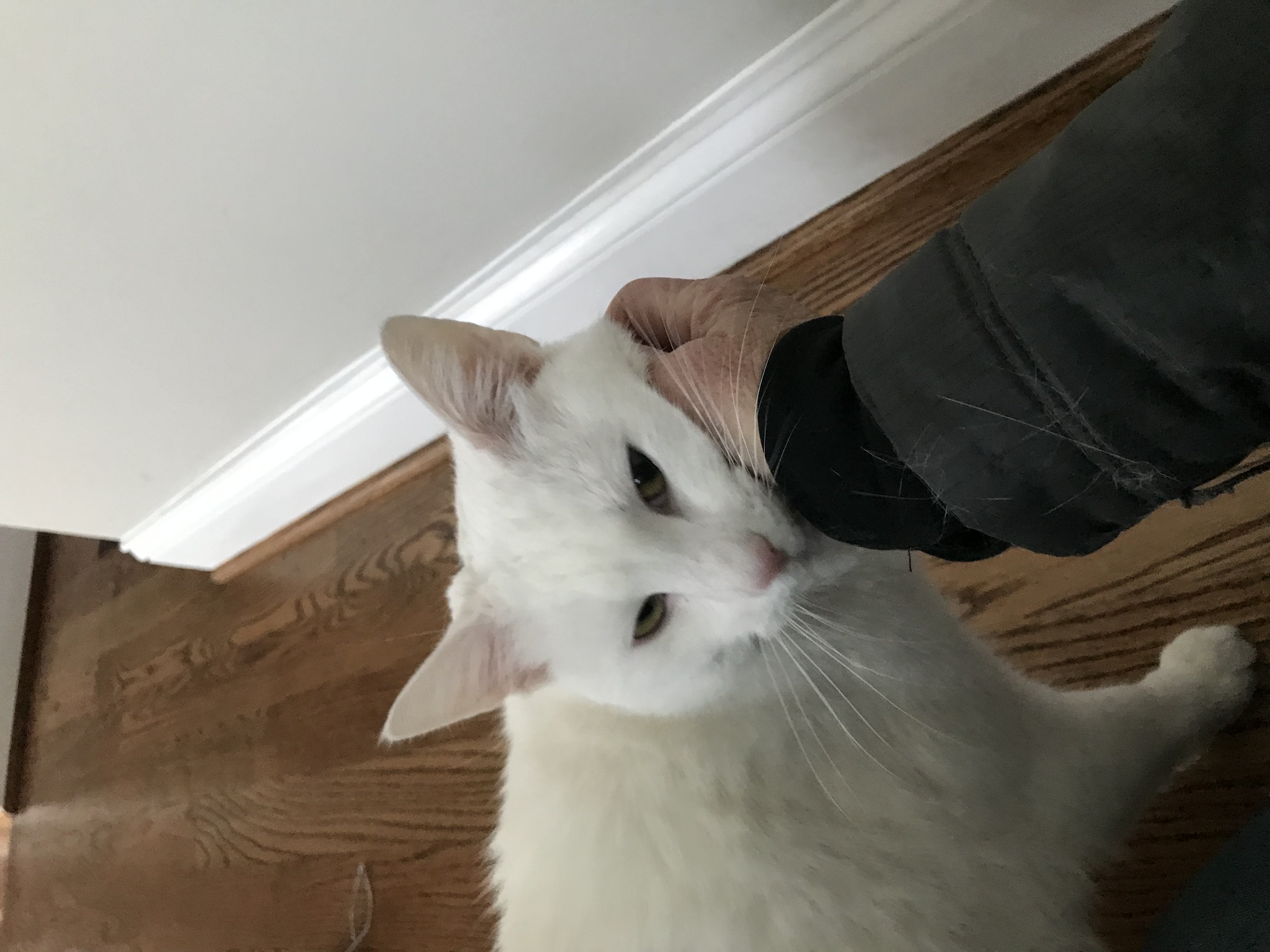 The Crate Escape, LLC's Photo