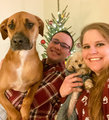 Mitcha & Paws Dog Boarding and Daycare