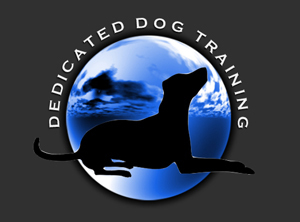 Dedicated Dog Training's Photo