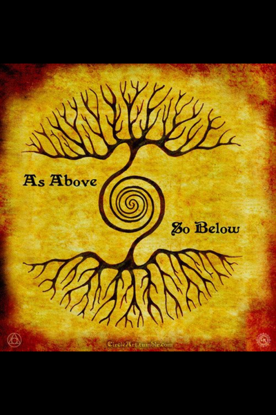 Immaculately Clean & Virtuous's Photo