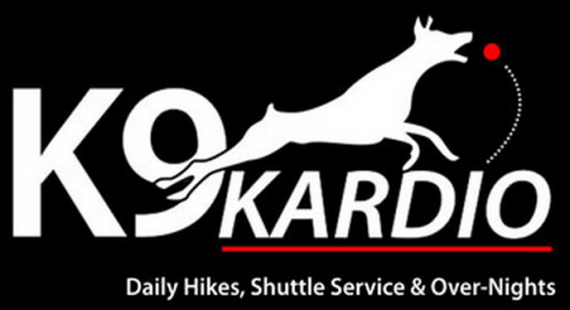 K9 Kardio Dog Walking & Pet Sitting's Photo