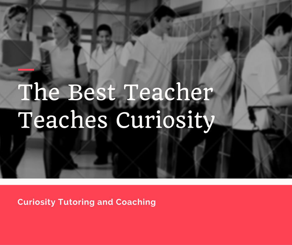 Curiosity Tutoring and Coaching's Photo