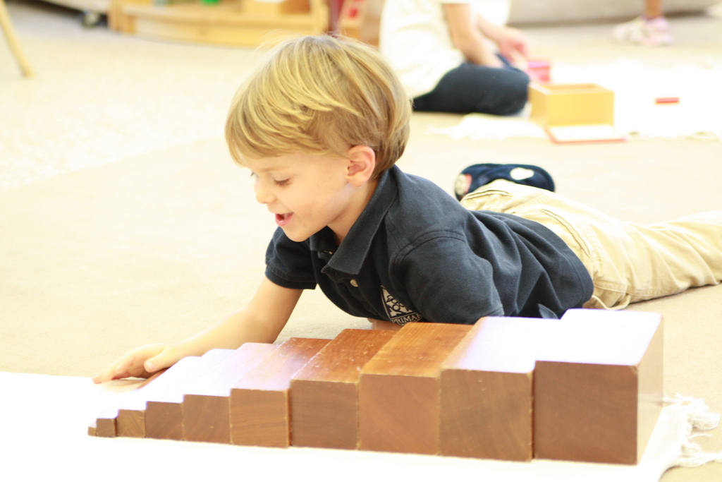 Primary Montessori Day School's Photo