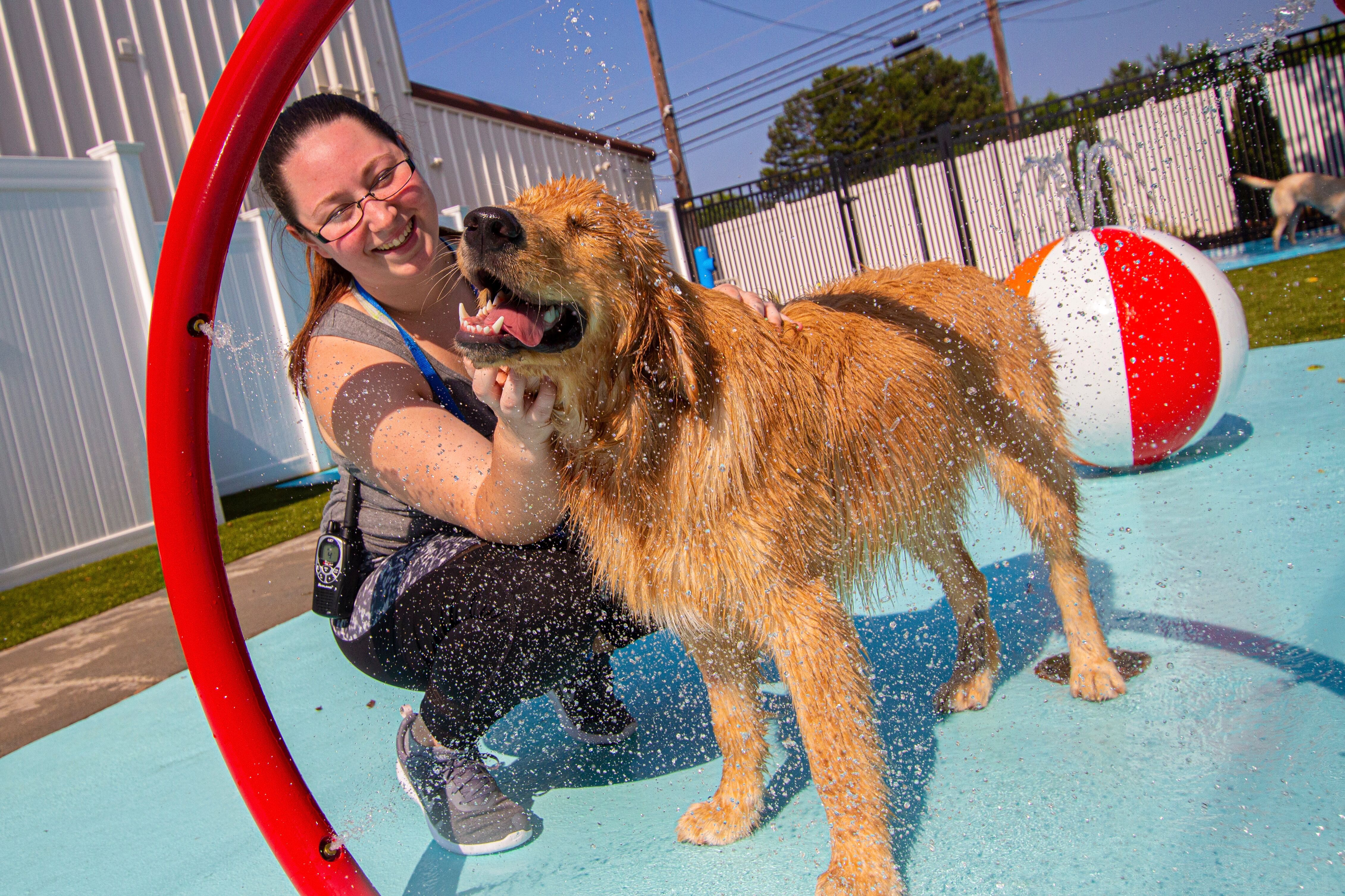 Puptown Charlotte's Photo