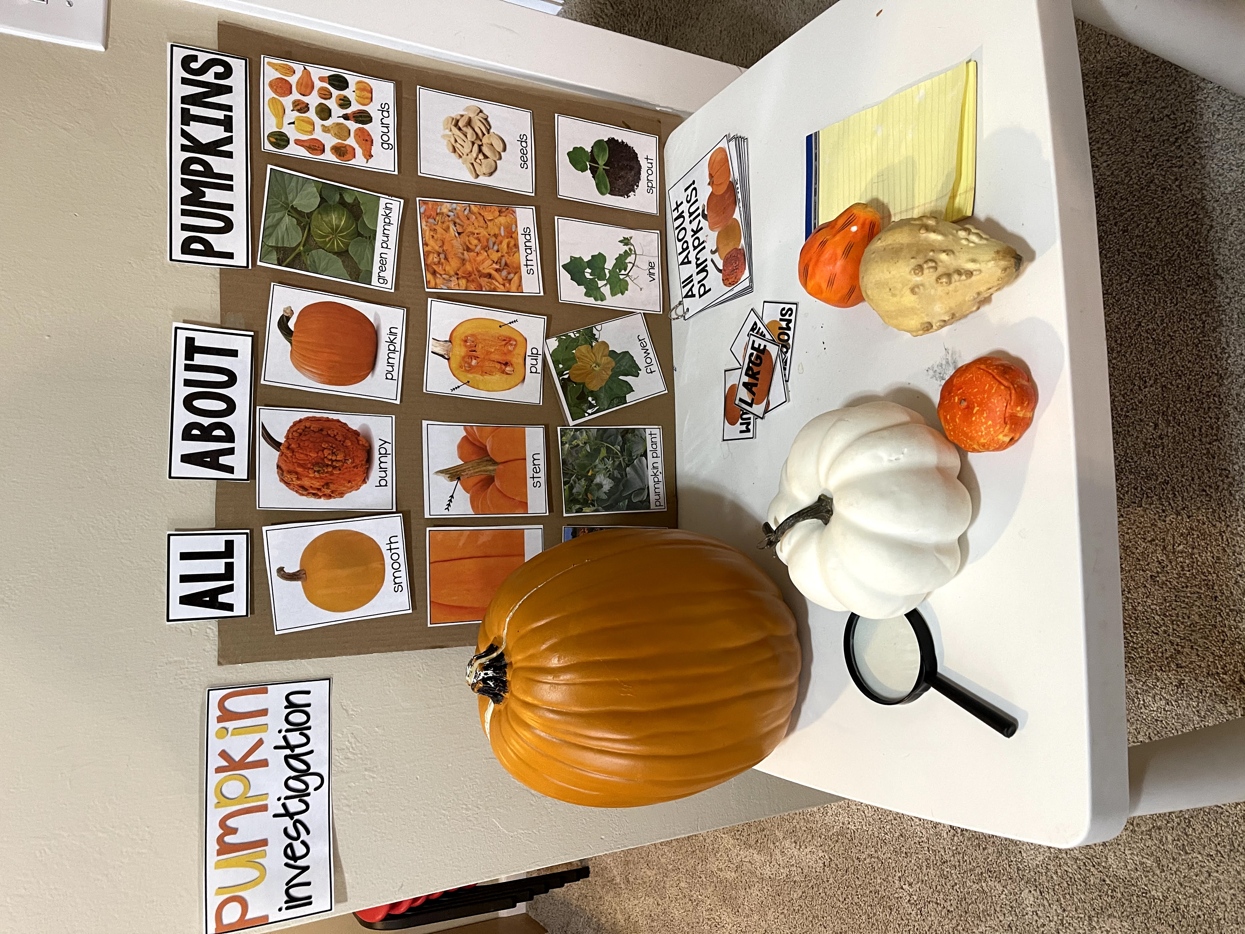 Corvallis Early Learning's Photo