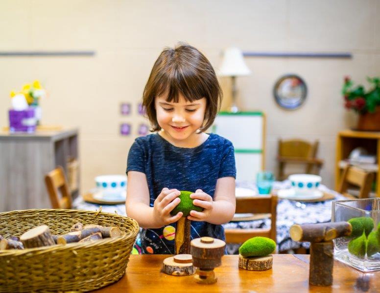 Country Day School - IRB's Photo