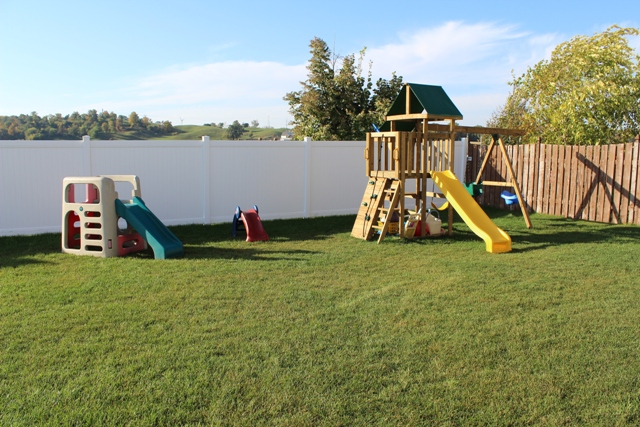 Shining Starts's Photo