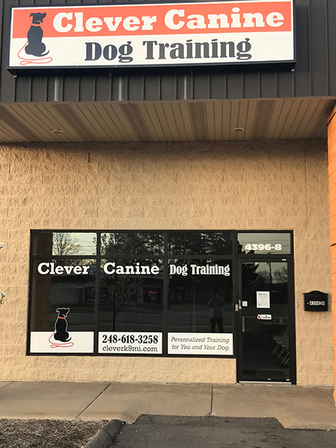 Clever Canine Dog Training's Photo