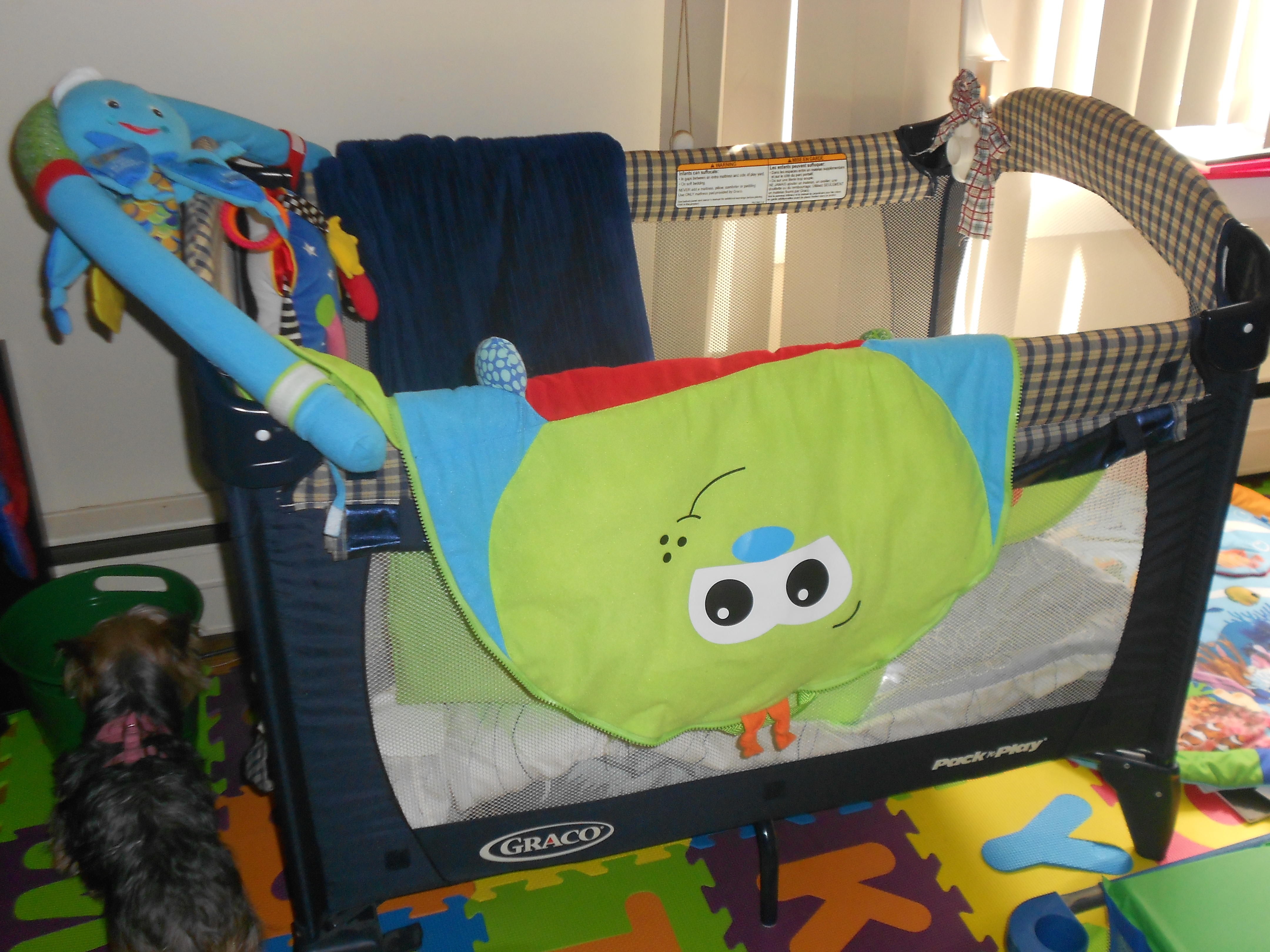 Lollipop's Day Care's Photo