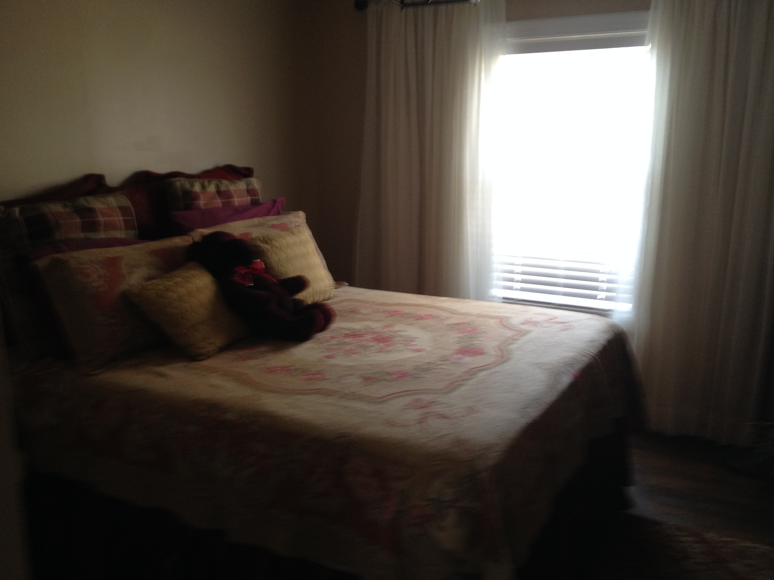 HHP Cleaning Service's Photo