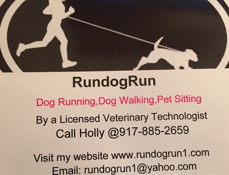 RunDogRun