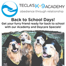 Tecla's k9 Academy