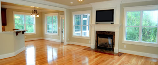 Sisters cleaning's Photo