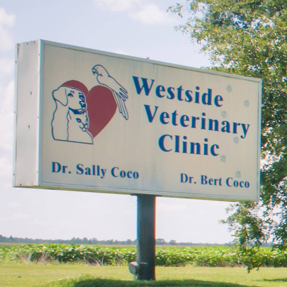 Westside Veterinary Clinic's Photo