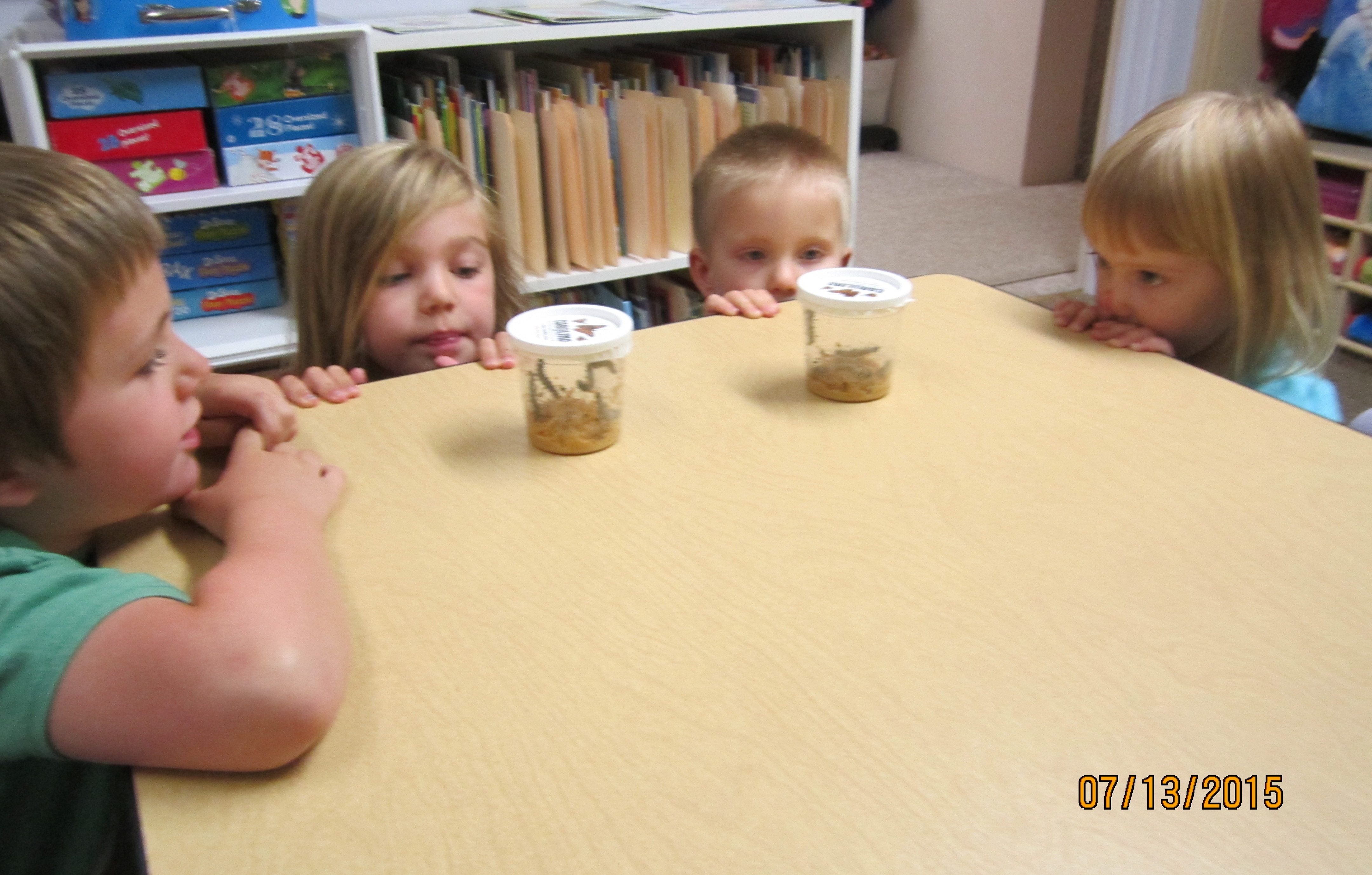 Sharon Drudy Family Day Care's Photo
