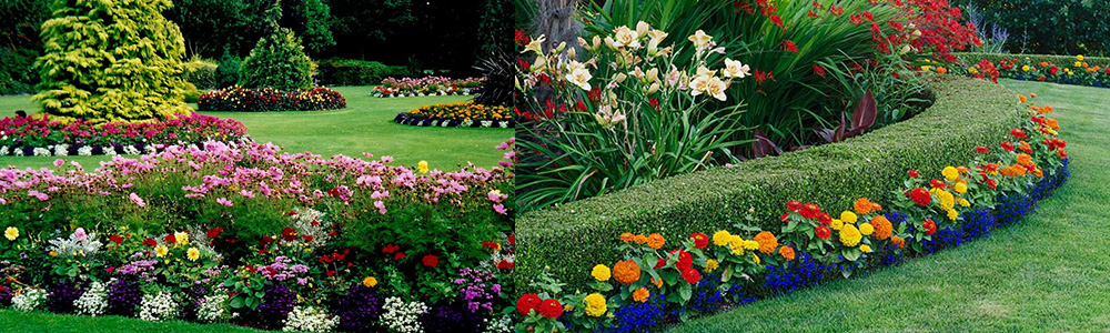 Braxton's & Braxton's Cleaning & Landscaping's Photo