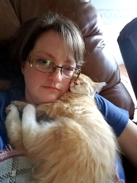 Riverhill Pet Sitting's Photo