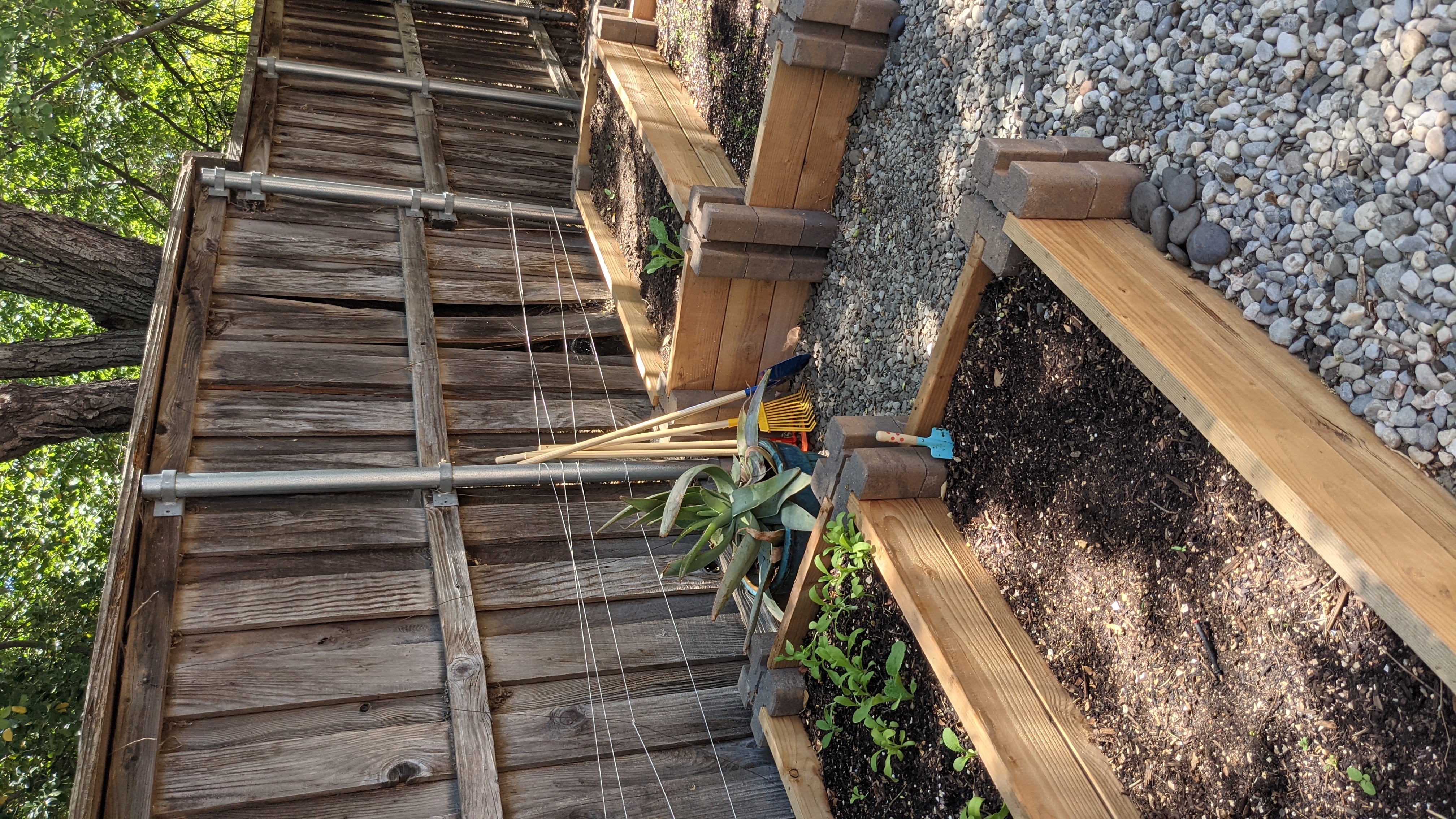 Birdsong Play Garden's Photo