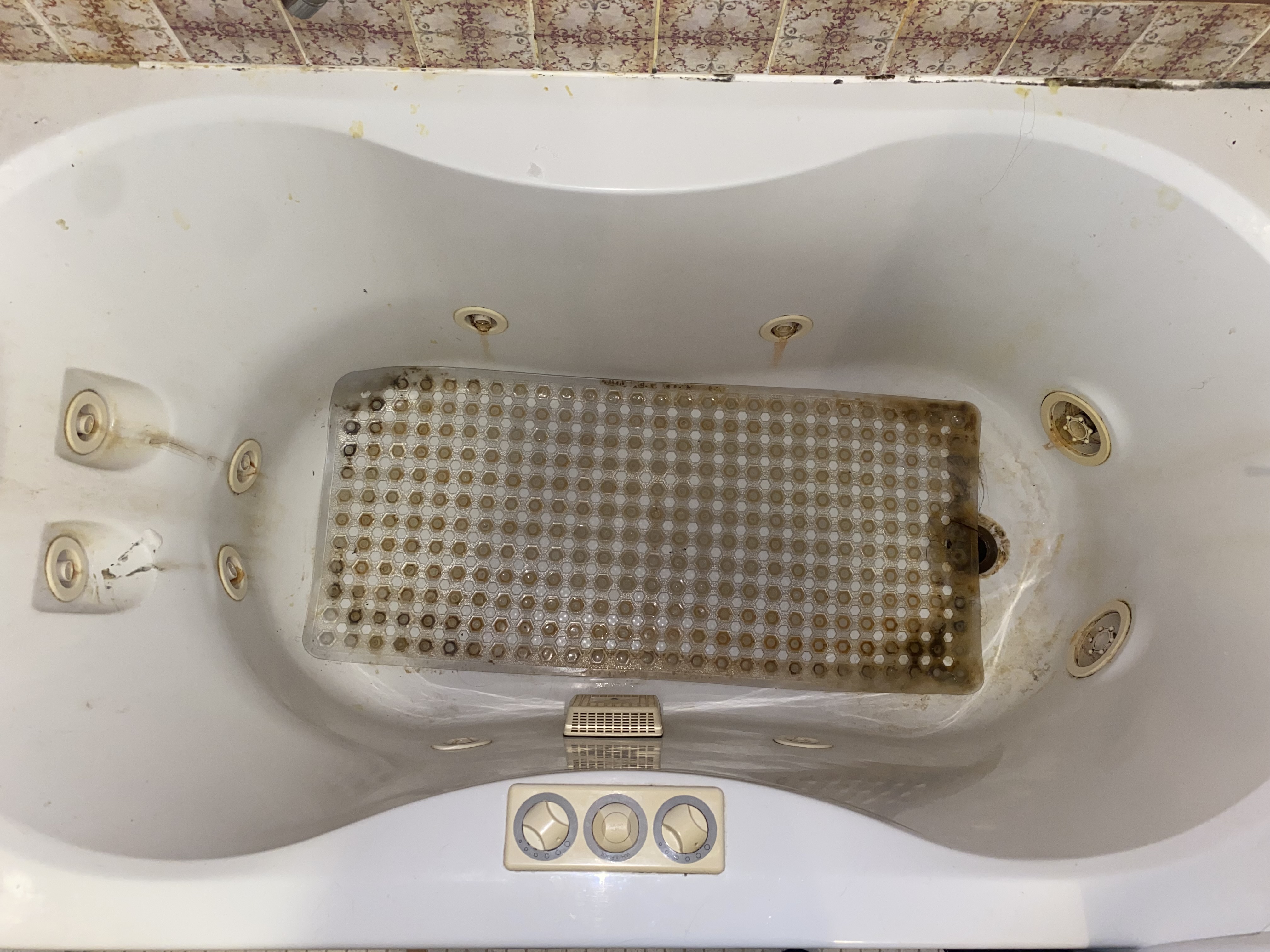 Consciously Clean Co.'s Photo